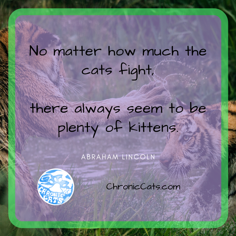 No matter how much the cats fight, there always seem to be plenty of kittens. - Abraham Lincoln
